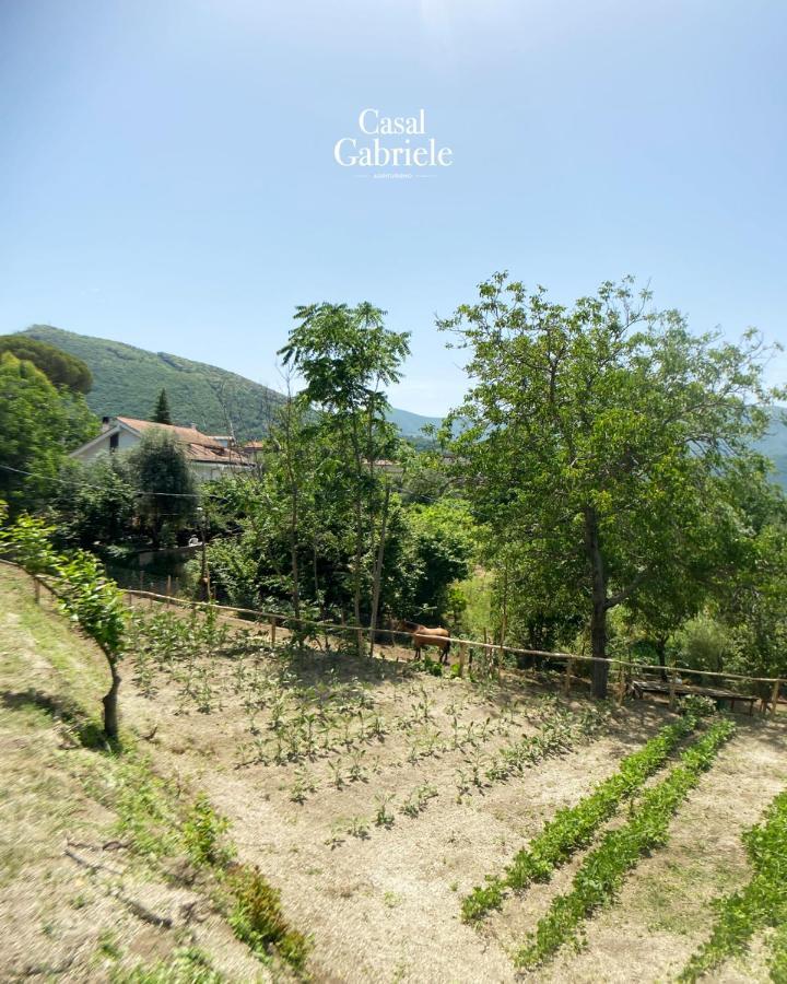 Casal Gabriele Villa Lettere Exterior photo