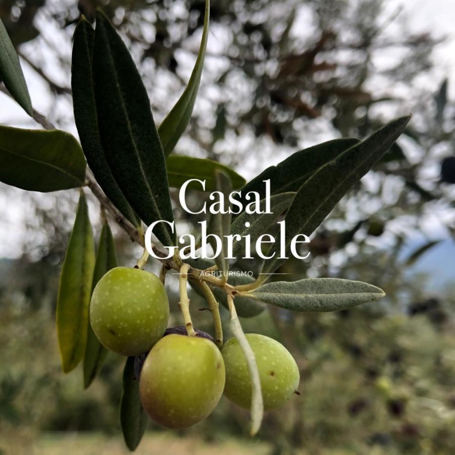 Casal Gabriele Villa Lettere Exterior photo